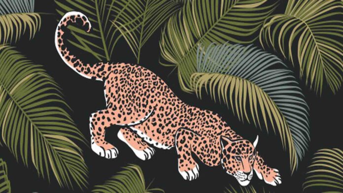 Jaguar spots a short stories for kids | stories for childerns