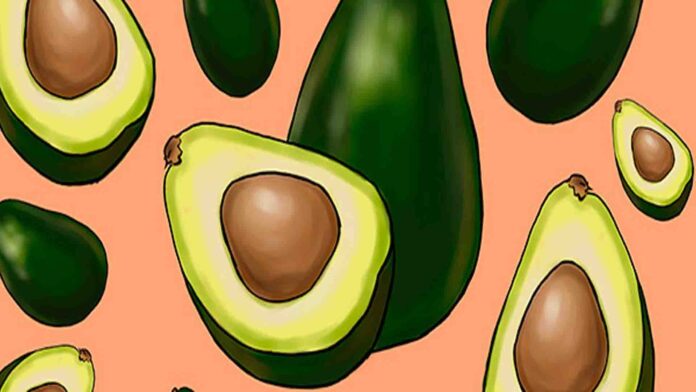Avocado Reading for Grade 5th and Grade 6th