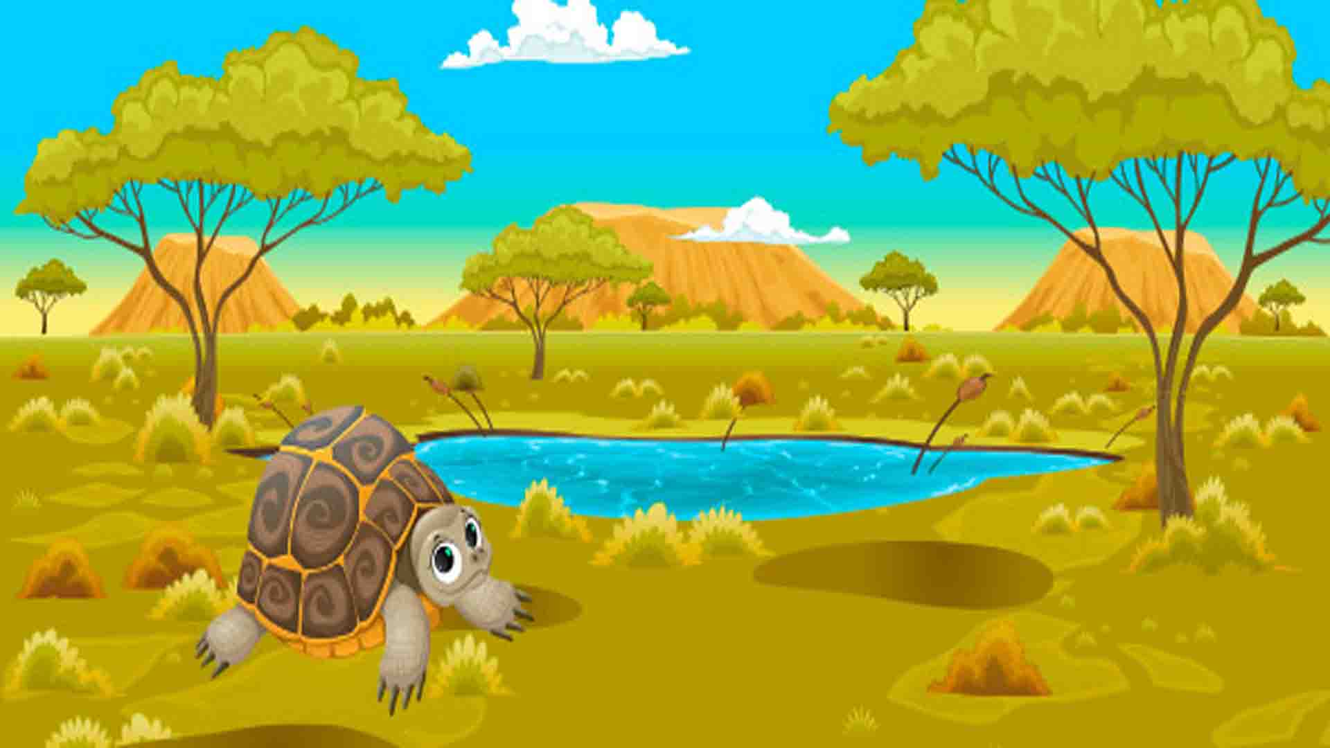 Kuta the smart turtle a long stories for kids | Long Stories in English