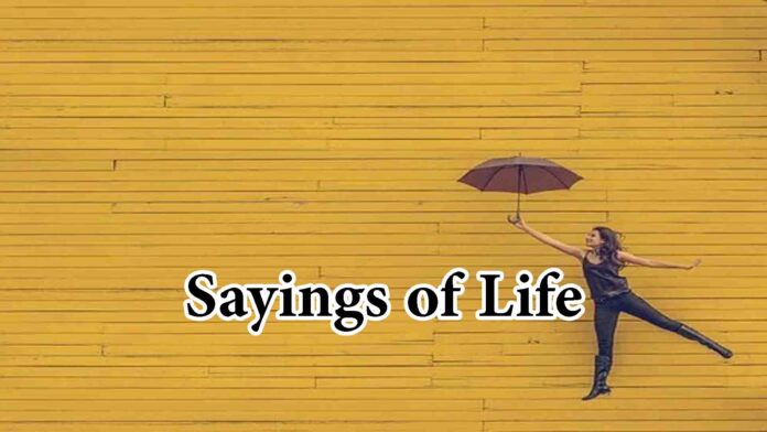 Sayings of Life