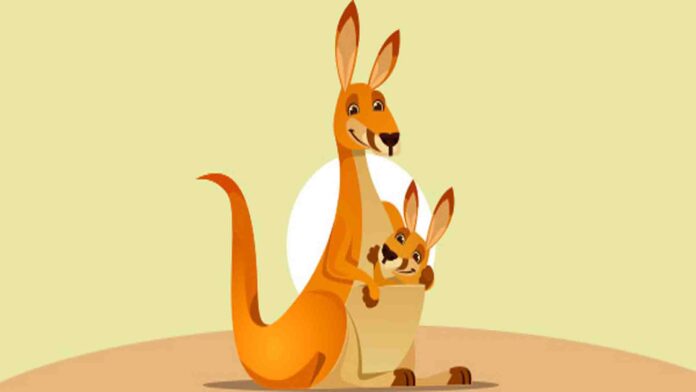 The legend of the kangaroo a short stories for kids
