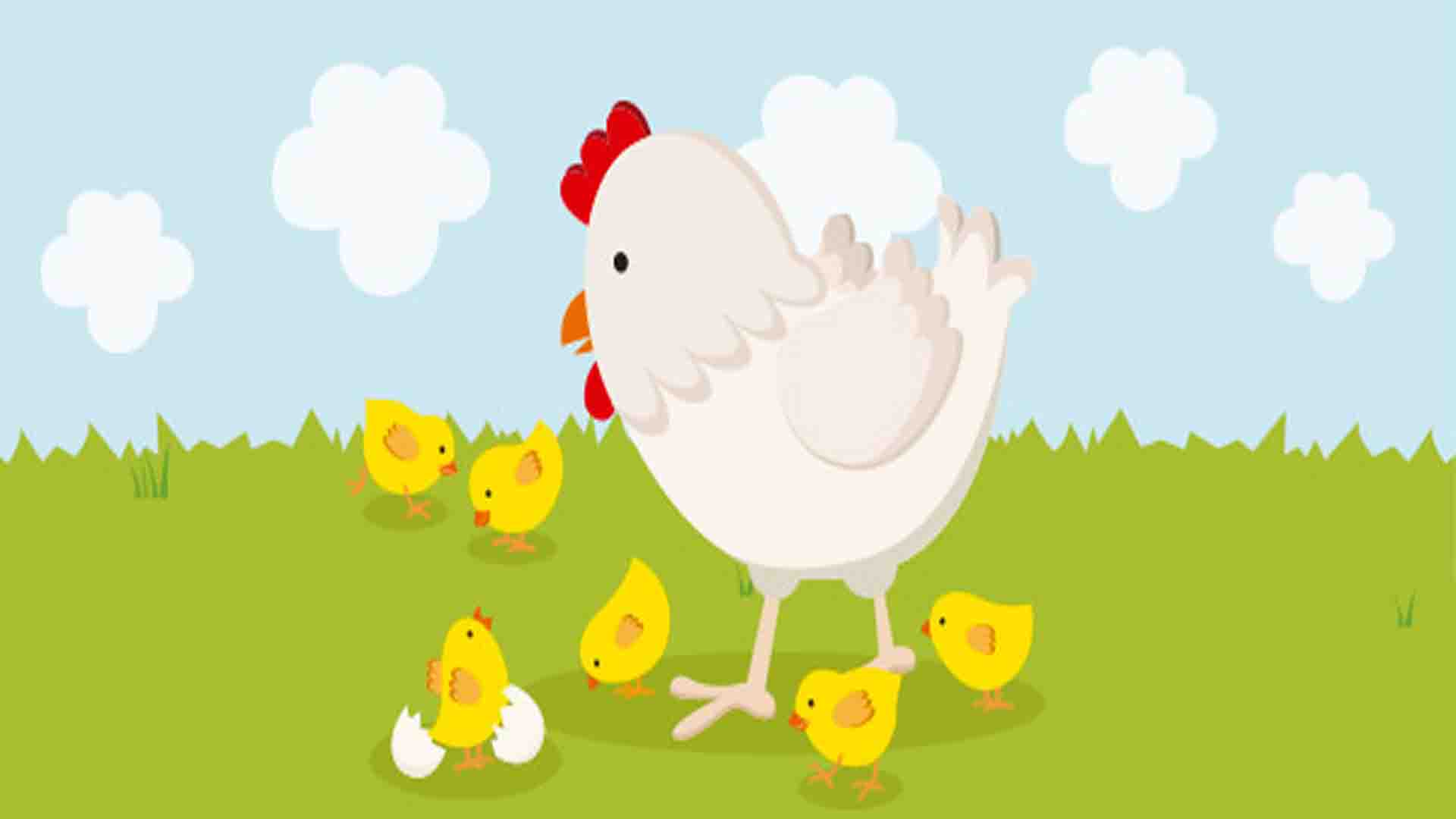 What happens to the chicken? reading for kids | kids reading | reading kids