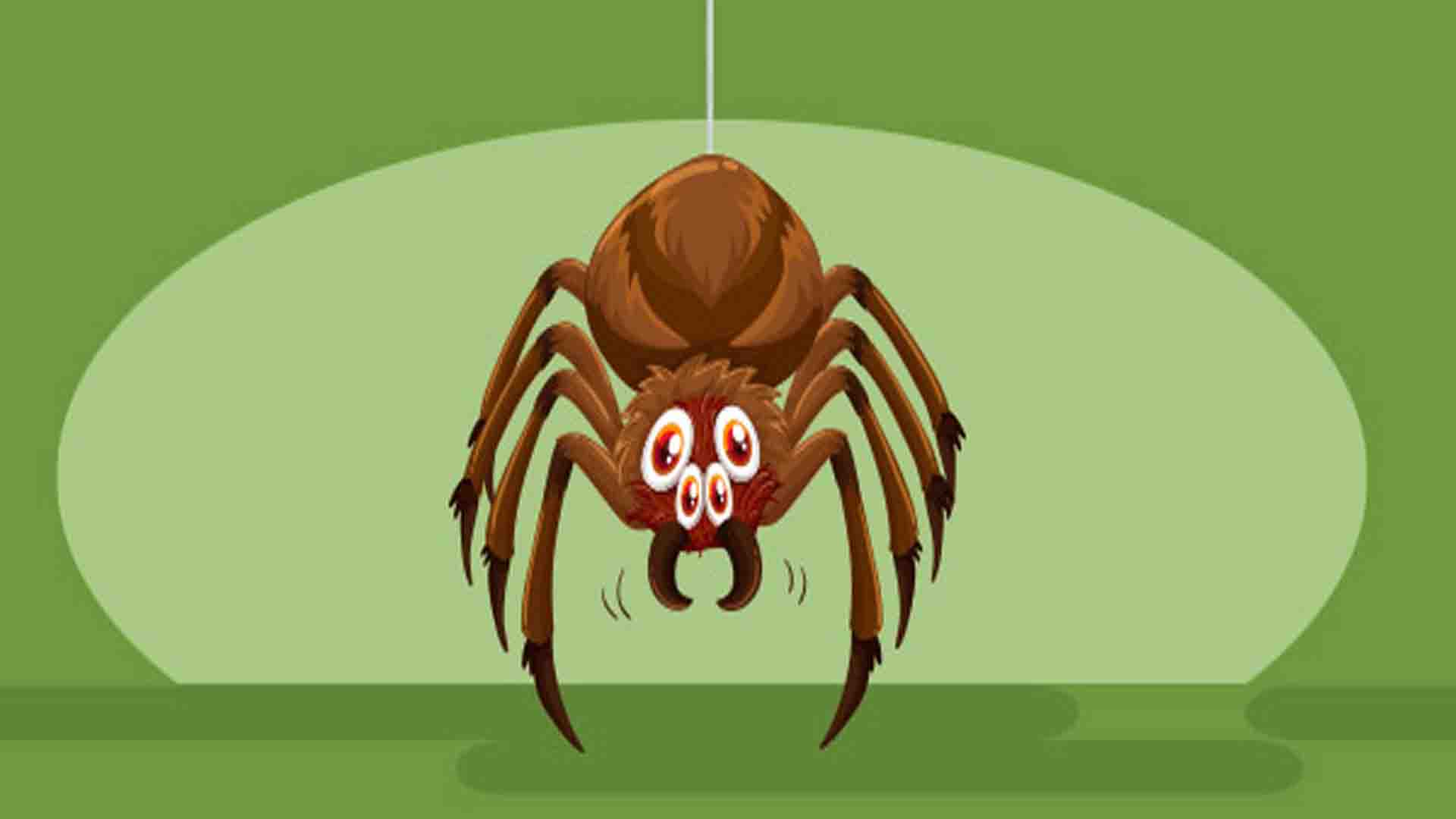 spiders and insects reading for kids | kids reading | reading kids