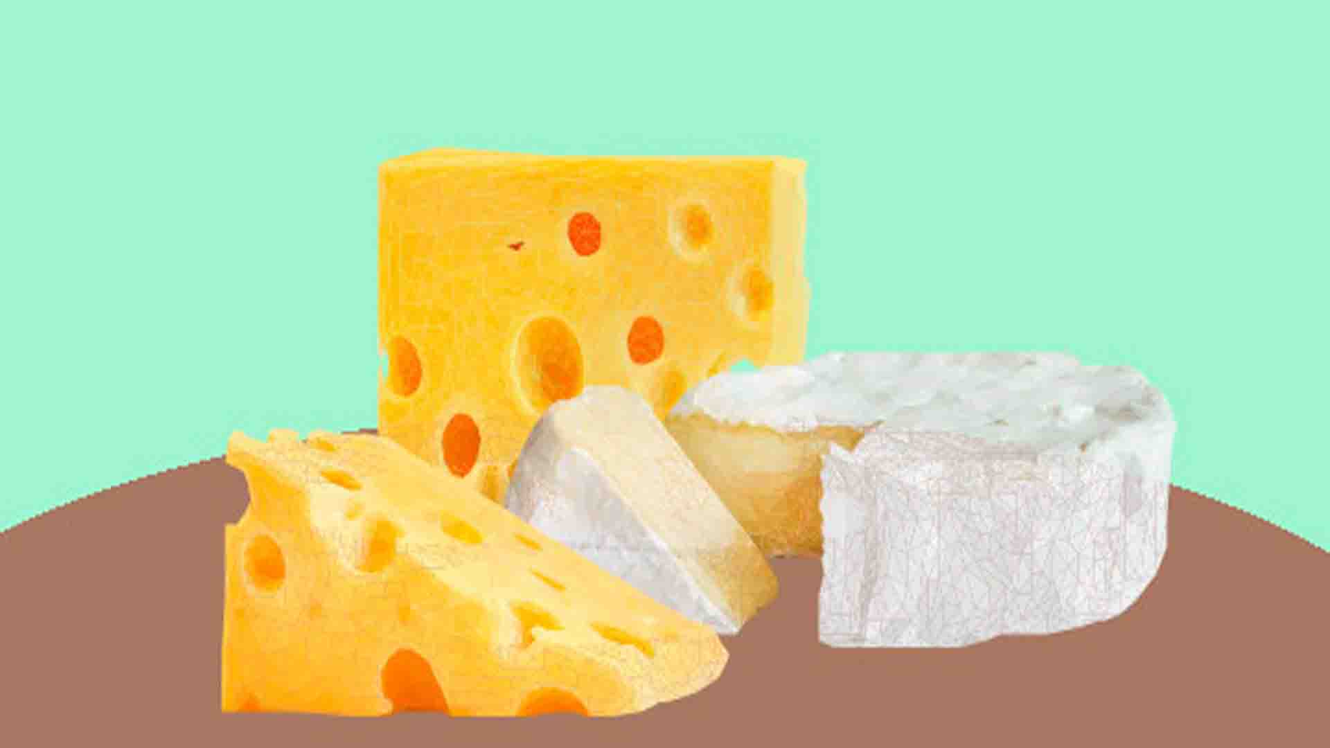 The origin of cheese Reading for Grade 5th and Grade 6th
