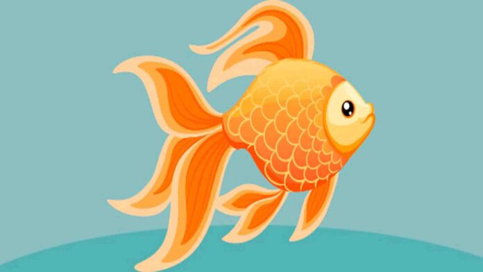 The gold fish a long stories for kids | Long Stories in English
