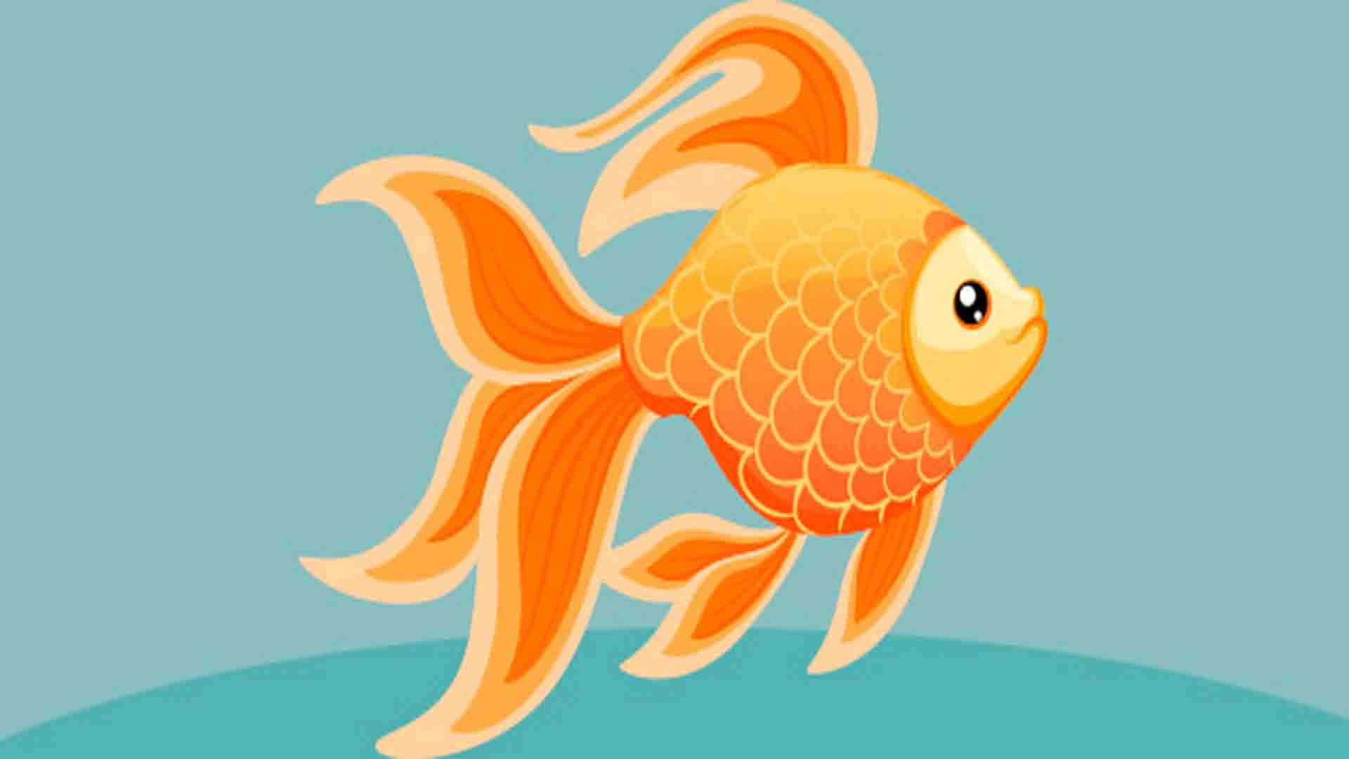 The gold fish a long stories for kids | Long Stories in English