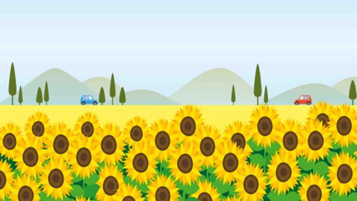 Sunflower Reading for Grade 5th and Grade 6th