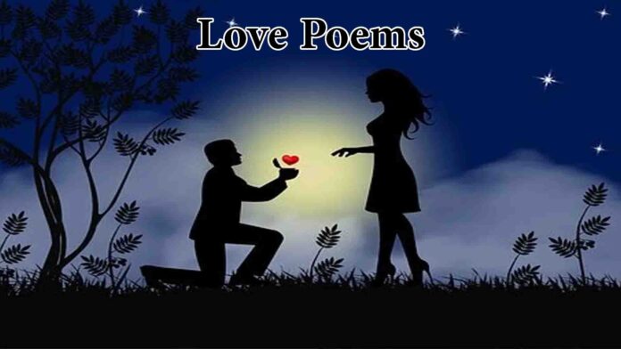 Love Poems | True Love Love Poems